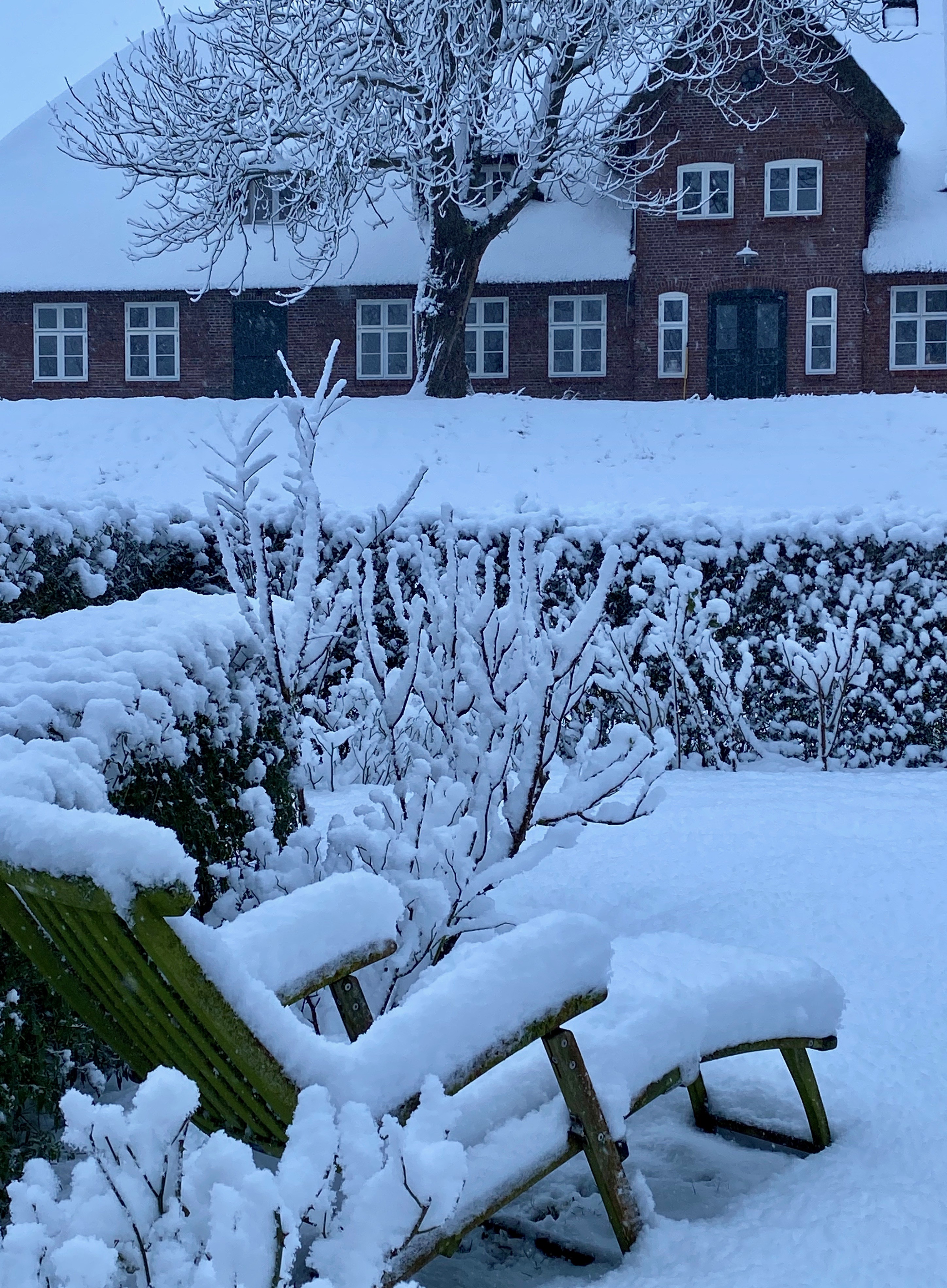 Catharinenwarft Winter